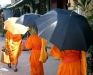 Monk robes and umbrellas